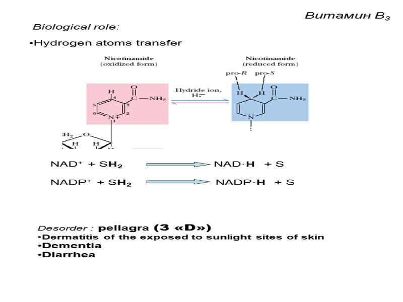 Biological role: Hydrogen atoms transfer NAD+ + SH2   NAD·H  + S